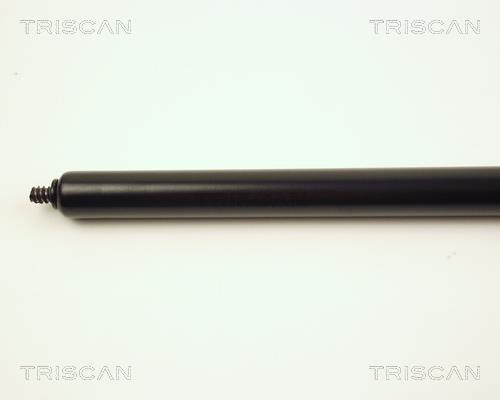 Cilindro Triscan A/S 8710 23104