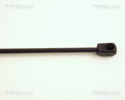 Cilindro Triscan A/S 8710 23104