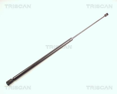 Vérin (Vérin de hayon) Triscan A/S 8710 23106