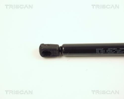 Vérin (Vérin de hayon) Triscan A/S 8710 23106
