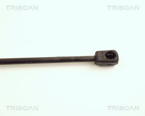 Vérin (Vérin de hayon) Triscan A/S 8710 23106