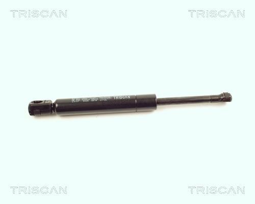 Vérin (Vérin de hayon) Triscan A/S 8710 23107