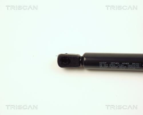 Vérin (Vérin de hayon) Triscan A/S 8710 23107
