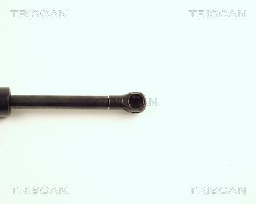 Vérin (Vérin de hayon) Triscan A/S 8710 23107