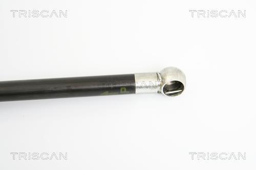 Cilindro Triscan A/S 8710 23108