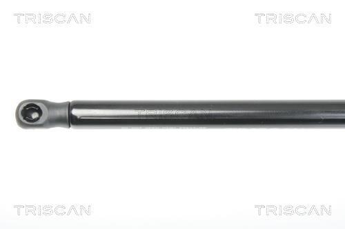 Vérin (Vérin de hayon) Triscan A/S 8710 23109