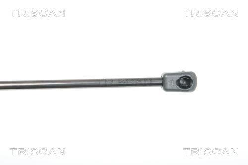 Vérin (Vérin de hayon) Triscan A/S 8710 23109