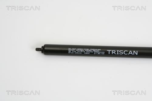 Cilindro Triscan A/S 8710 23110