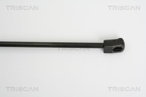 Cilindro Triscan A/S 8710 23110