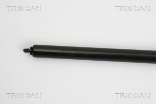 Cilindro Triscan A/S 8710 23111