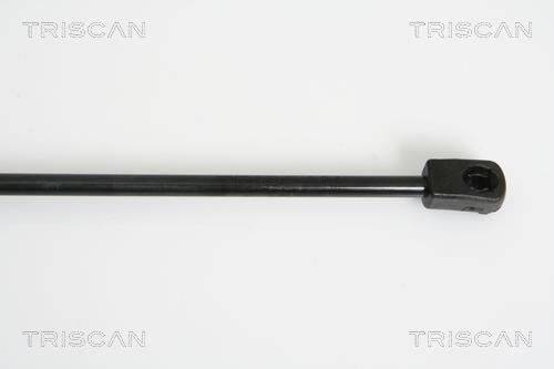 Cilindro Triscan A/S 8710 23111