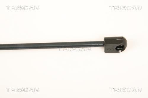 Cilindro Triscan A/S 8710 23112