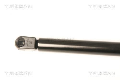 Cilindro Triscan A/S 8710 23113