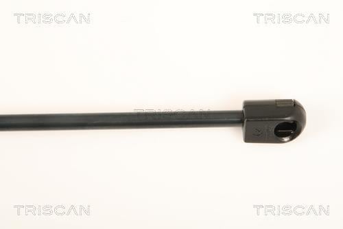 Cilindro Triscan A/S 8710 23113