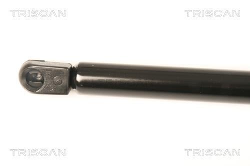 Cilindro Triscan A/S 8710 23114