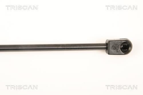Cilindro Triscan A/S 8710 23114