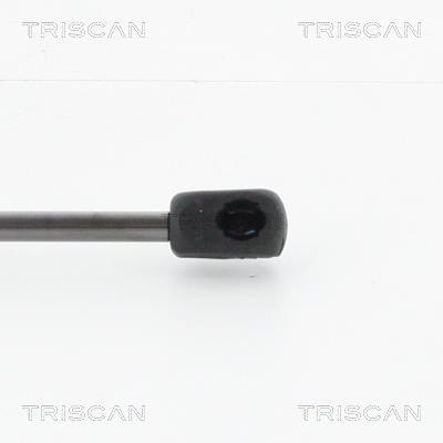 Cilindro Triscan A/S 8710 23117