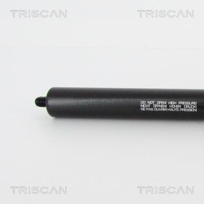 Cilindro Triscan A/S 8710 23117