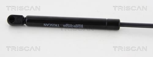 Cilindro Triscan A/S 8710 23118