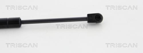 Cilindro Triscan A/S 8710 23118