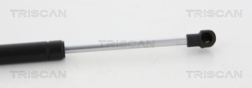 Vérin (Vérin de hayon) Triscan A/S ref. 8710 23119
