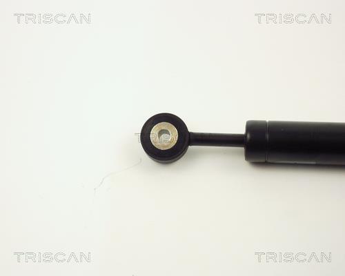 Amortisseur de vibrations, courroie trapézoïdale à nervures Triscan A/S 8710 2311