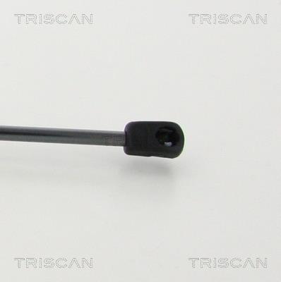 Cilindro Triscan A/S 8710 23124