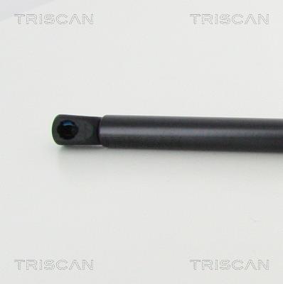 Cilindro Triscan A/S 8710 23124