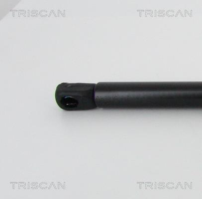 Cilindro Triscan A/S 8710 23125
