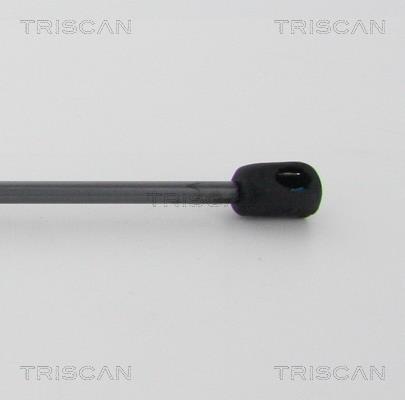 Cilindro Triscan A/S 8710 23125