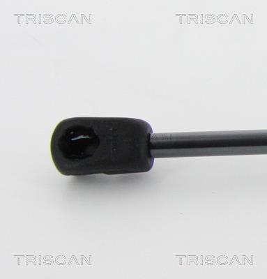 Vérin (Vérin de hayon) Triscan A/S 8710 23126
