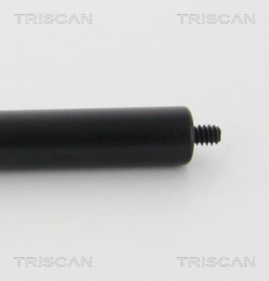Vérin (Vérin de hayon) Triscan A/S 8710 23126