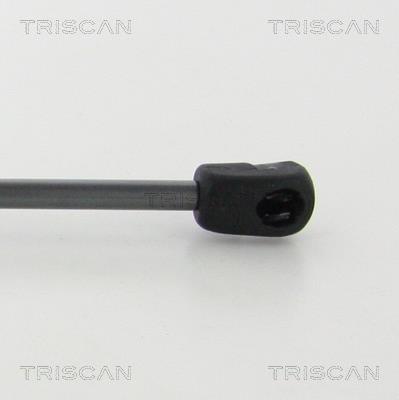 Cilindro Triscan A/S 8710 23129