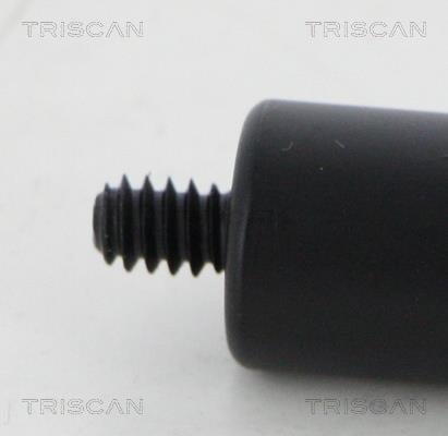 Cilindro Triscan A/S 8710 23132