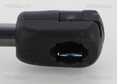 Cilindro Triscan A/S 8710 23132