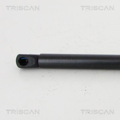 Cilindro Triscan A/S 8710 23133