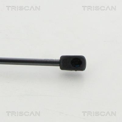 Cilindro Triscan A/S 8710 23133