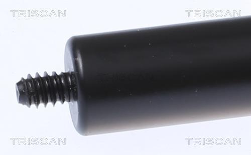 Cilindro Triscan A/S 8710 23134