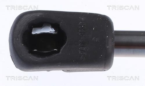 Cilindro Triscan A/S 8710 23134