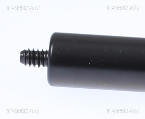 Vérin (Vérin de hayon) Triscan A/S 8710 23135