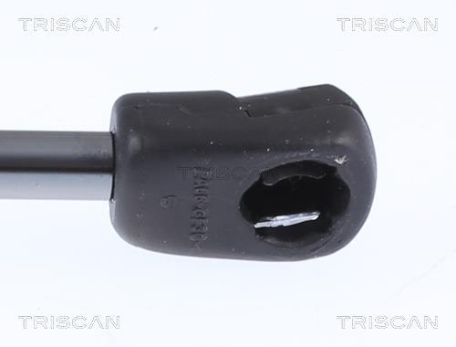 Vérin (Vérin de hayon) Triscan A/S 8710 23135