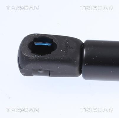 Cilindro Triscan A/S 8710 23137