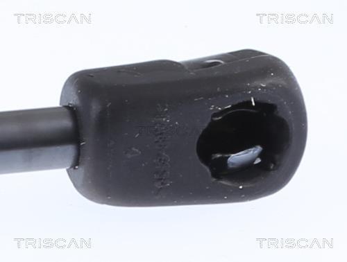 Cilindro Triscan A/S 8710 23137