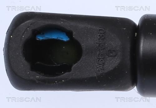 Vérin (Vérin de hayon) Triscan A/S ref. 8710 23138