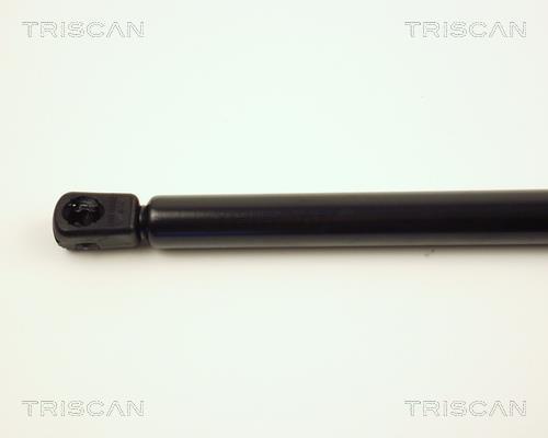 Vérin (Vérin de hayon) Triscan A/S 8710 23201