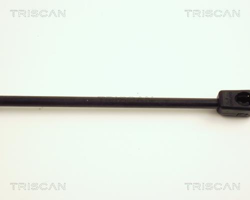 Vérin (Vérin de hayon) Triscan A/S 8710 23201