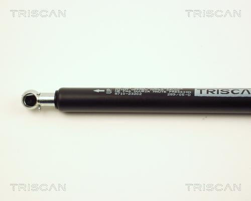 Vérin (Vérin de hayon) Triscan A/S ref. 8710 23202
