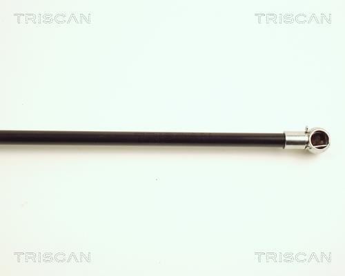 Vérin (Vérin de hayon) Triscan A/S ref. 8710 23202
