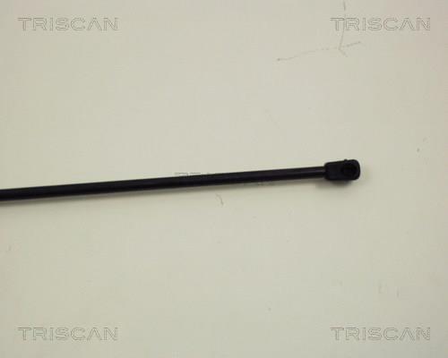 Muelle neumático Triscan A/S 8710 23203