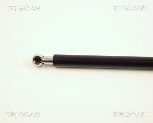 Vérin (Vérin de hayon) Triscan A/S 8710 23204